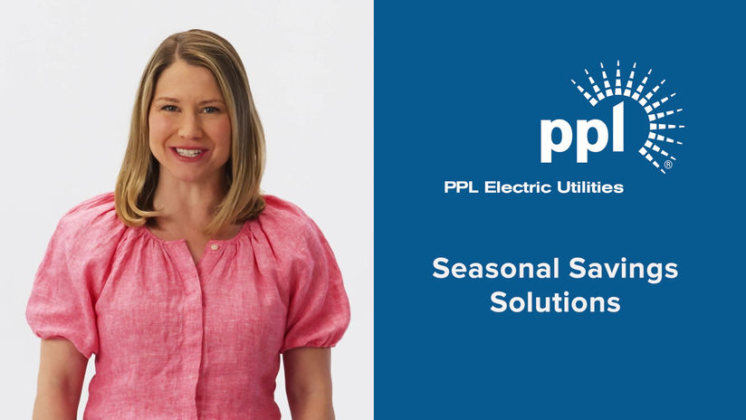 PPL Semi Annual Savings